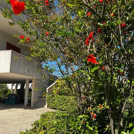 Walmarhouse Apartment *