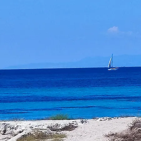 Walmarhouse * Tarente