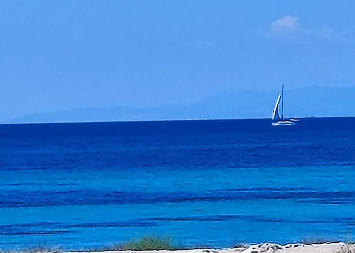 Walmarhouse * Taranto